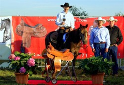 Saddle-Trophy-Large.JPG